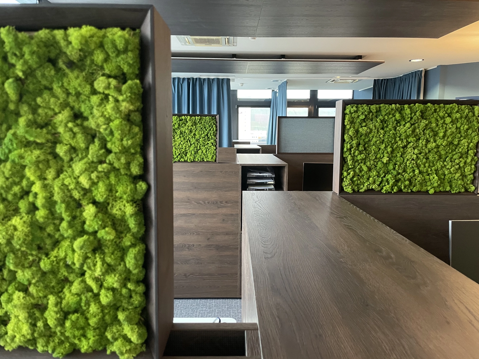 Referenz Vossler Titel